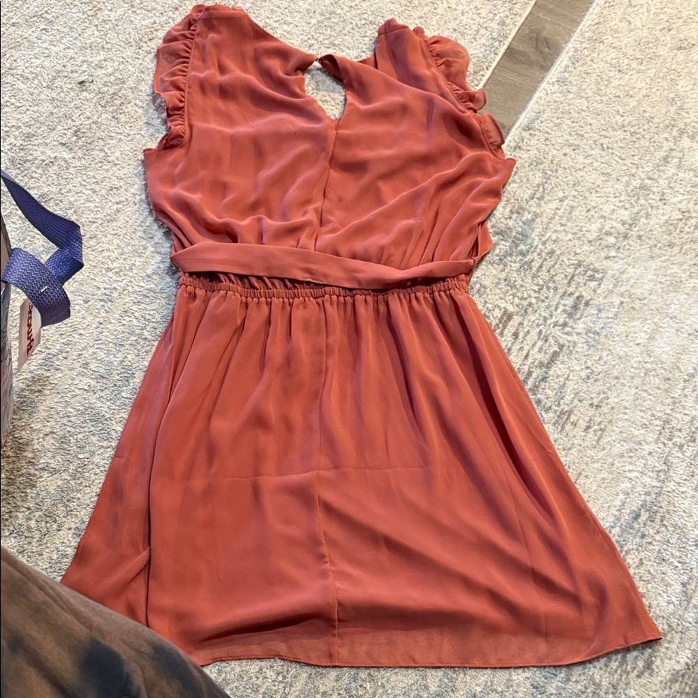 Express Terracotta Ruffle Mini Dress - Picture 5 of 7